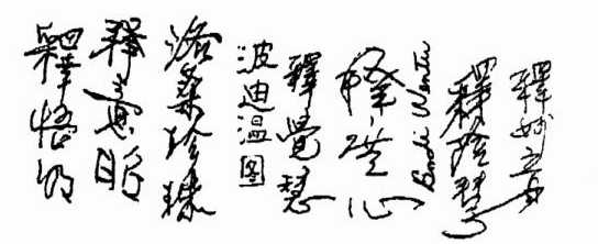 阿王诺布帕母果然实现她的诺言【羌佛圣量】-图片5