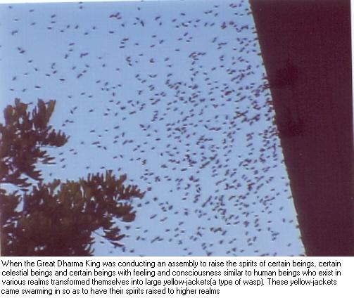 阿王诺布帕母果然实现她的诺言【羌佛圣量】-图片4