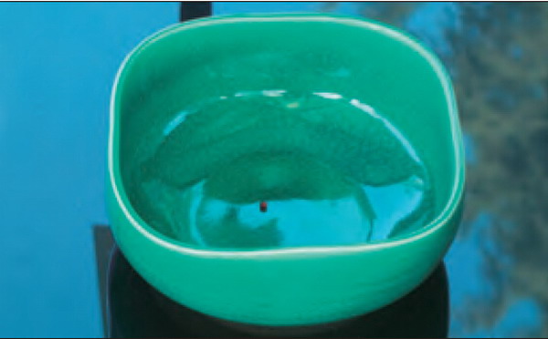 祿東贊法王修金剛換體禪令神識出體取物-图片4