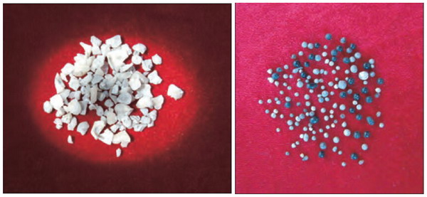 第三世多杰羌佛座下大量弟子脫離輪迴生死,成就解脫部份實例-图片13