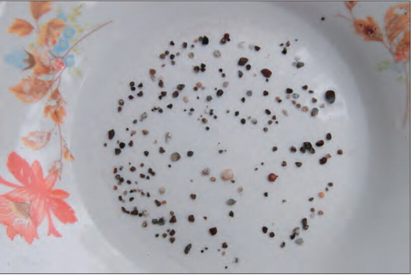 第三世多杰羌佛座下大量弟子脫離輪迴生死,成就解脫部份實例-图片11