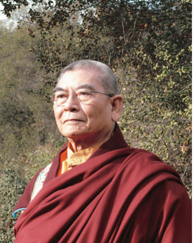 祿東贊法王修金剛換體禪令神識出體取物-图片1