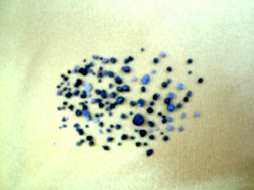 多杰洛桑法王法駕佛土 金剛體燃燒六小時 出舍利141粒-图片2